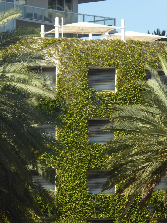 Miami South Washington AV Venetian Pool