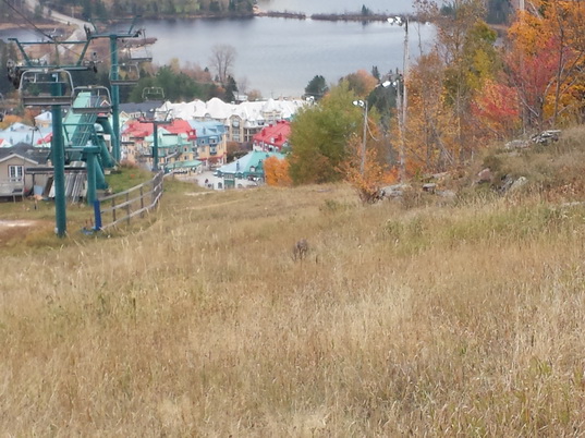 Mont Tremblant Resort Lac Tremblant Ski