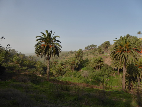 &nbsp;&nbsp;Gomera San sebastian Roque Columbus Gomera
