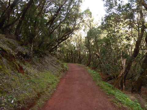 &nbsp;&nbsp;Gomera San sebastian Roque Columbus Gomera