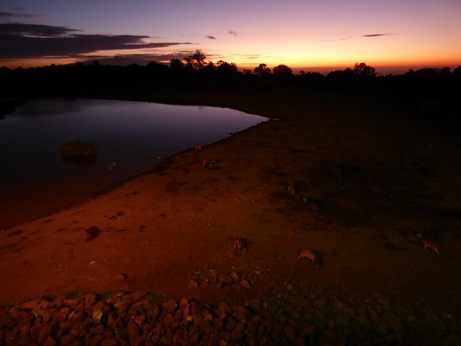   The Ark  in Kenia Aberdare National Park  Sundowner The Ark  in Kenia Aberdare National Park  Sundowner 