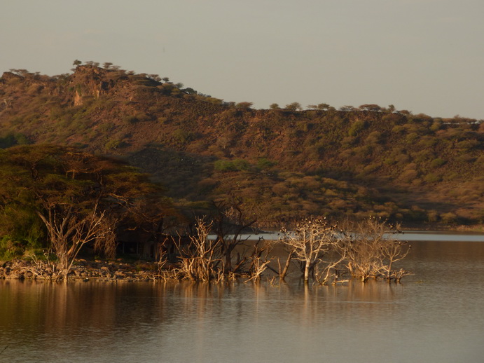 Kenia Lake Baringo Island Camp
