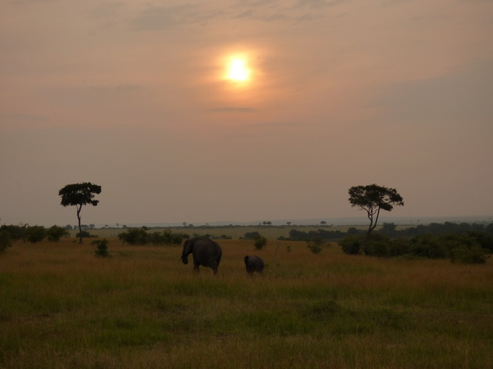 Masai Mara Tembo Kidogo kleiner Elefant