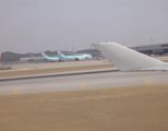 lg_kora_2006010.jpg