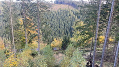 wandern_oberhof
